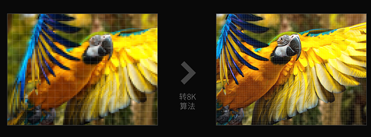 image010.png