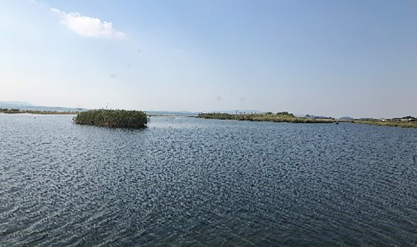 image007.png