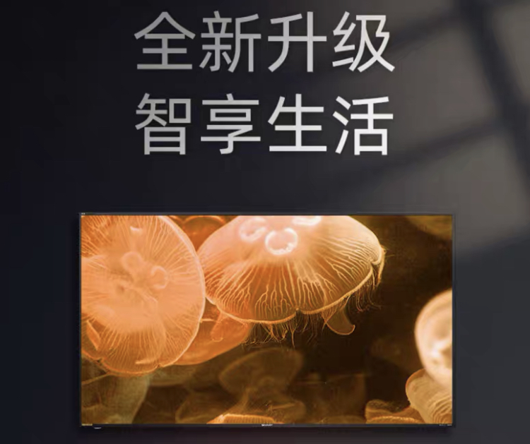 image009.jpg