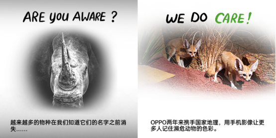 【新闻稿】践行企业公民社会责任,OPPO以科技推动可持续发展1751.png