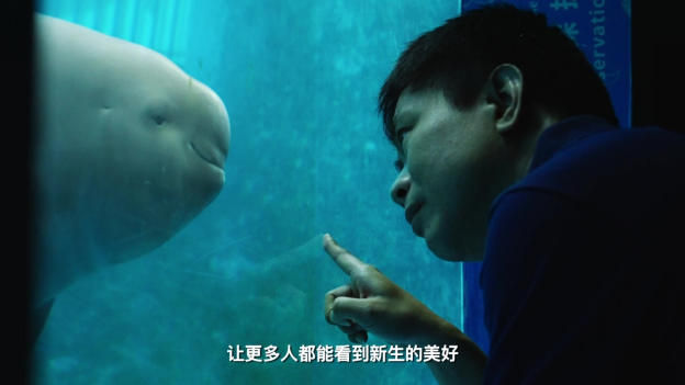 【新闻快讯】英特尔Evo携手BMW i以科技助力长江大保护行动2821.png