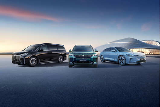 【新闻稿】高标准成就高质量 岚图以卓越品质赋能用户美好生活345.png