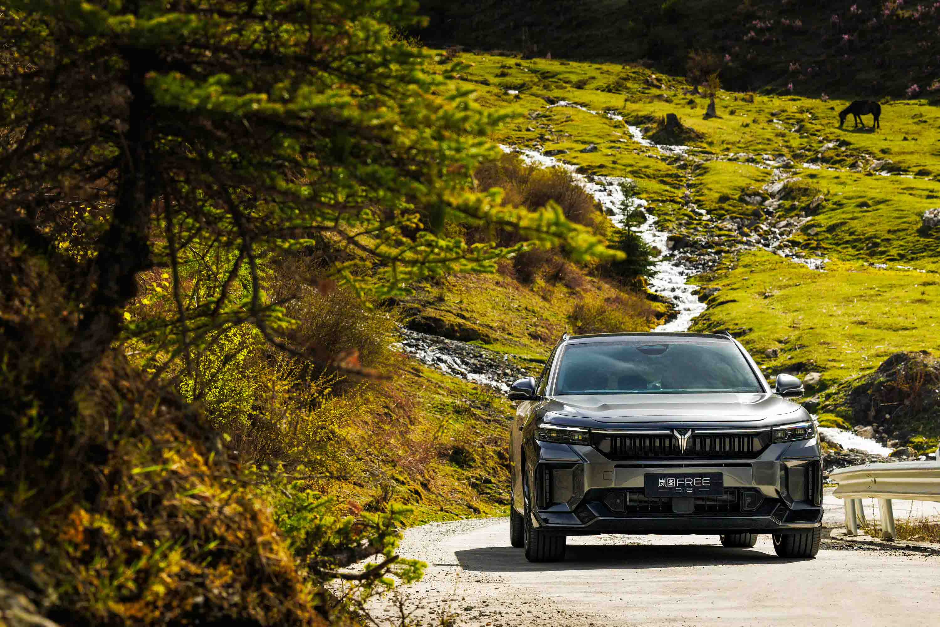 04 嵐圖FREE 318產品美圖實拍.jpg