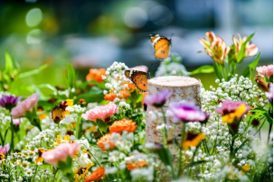 【新闻稿】焕新“视”界 尼康上海媒体体验会揭幕新锐力作1053.png