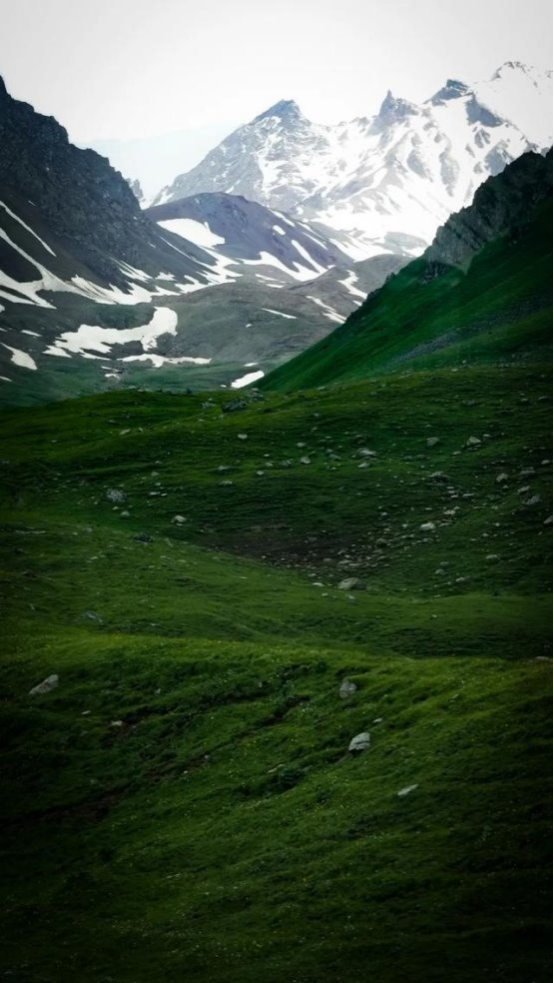 新建 DOCX 文档3680.png