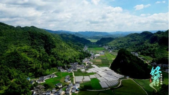 新建 DOCX 文档3302.png