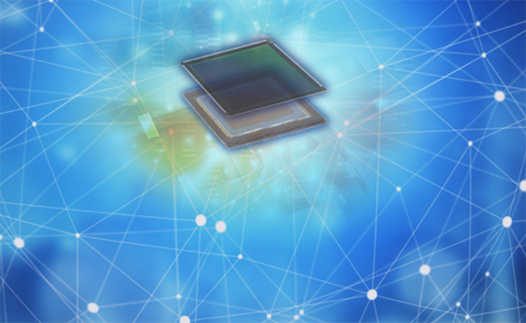 截屏2025-12-01 10.18.44.png