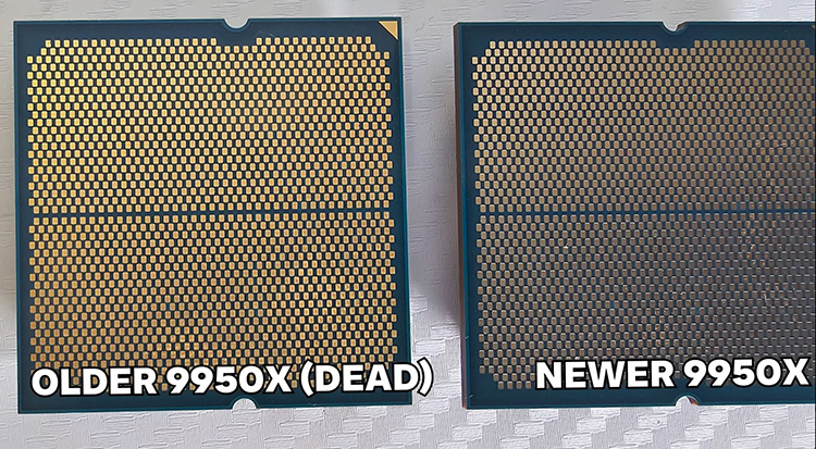 Two-dead-Ryzen-9-9950X.jpg