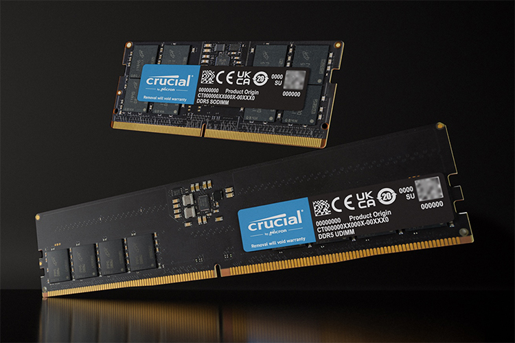 Crucial-DDR5-24-GB-and-48-GB-Memory-Capacities.jpg