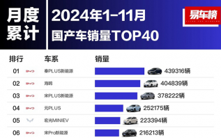 2024前11个月国产汽车销量榜出炉！比亚迪有点凶，前10占据8席