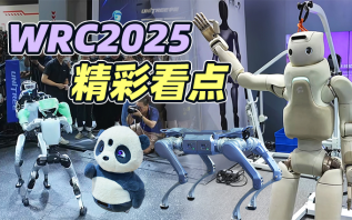探展2025世界机器人大会，机器人真的走进生活了吗？