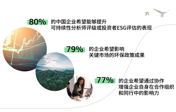最新调查显示三分之二的中国企业认为“协作”对于实现净零排放至关重要