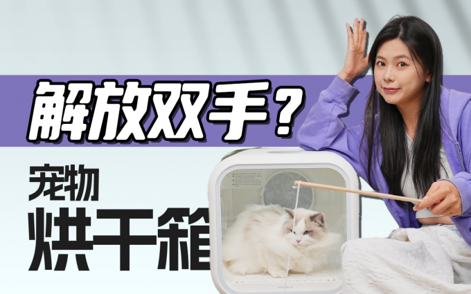 宠物烘干箱到底解放双手了吗?我们用真猫试了!
