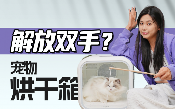 宠物烘干箱到底解放双手了吗？我们用真猫试了！