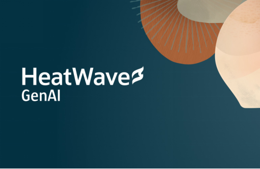  Oracle正式推出HeatWave GenAI 提供数据库内LLMs和自动化数据库内向量存储