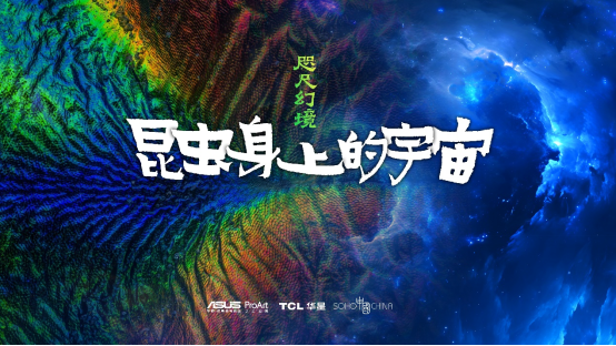 华硕电脑助力超微昆虫摄影展  带你领略35亿像素下的昆虫之美
