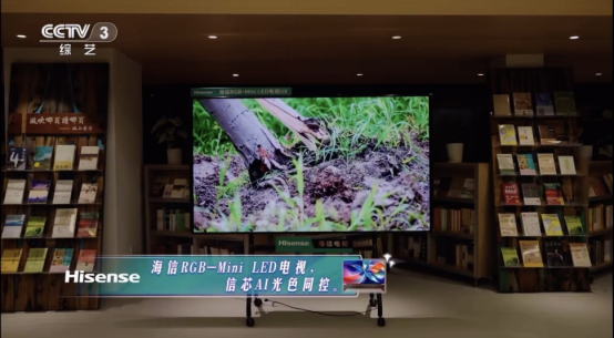 一个月内连登两次央视！众星点赞海信RGB-Mini LED电视