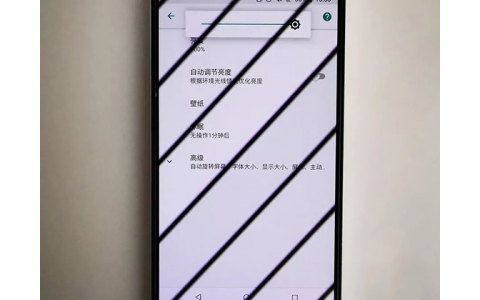 OPPO副总裁表示正在研发OLED屏幕DC调光 或将解决频闪问题