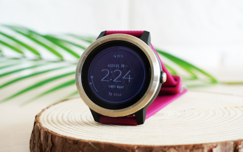 身体智能管家 Garmin vivoactive 3T智能运动腕表评测体验