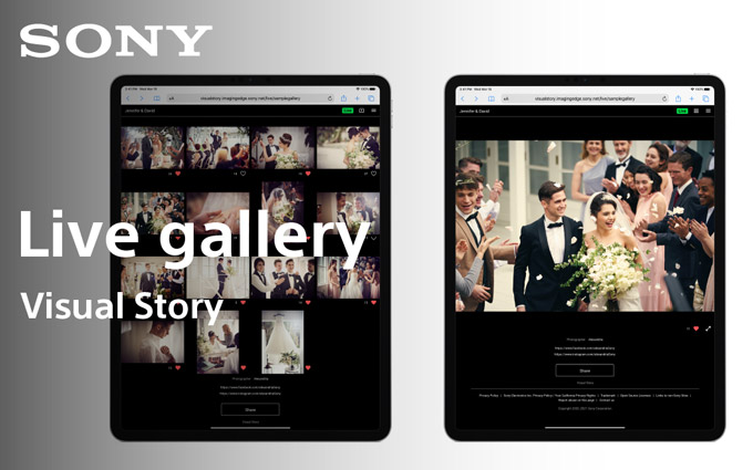 索尼更新Live Gallery APP 支持AI识图