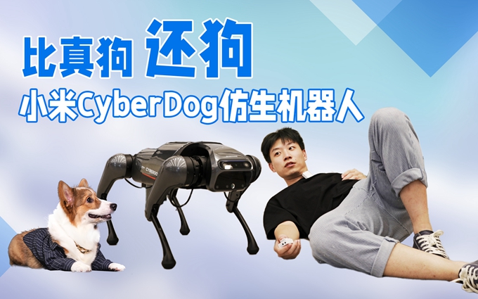 体验小米CyberDog，仿生机器人已经能陪伴家人了？