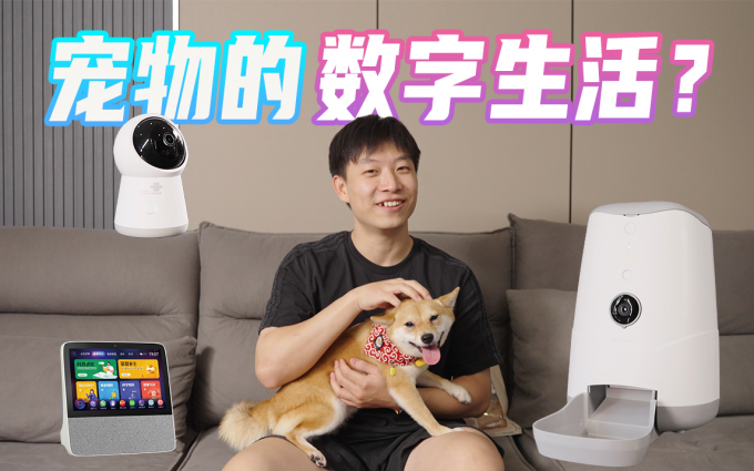 打工人养宠物必备？体验完数字生活后，我有信心养狗了！