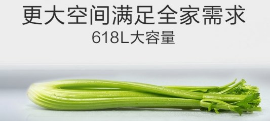 惠而浦大容量冻龄系列冰箱 鲜藏爱意悠长