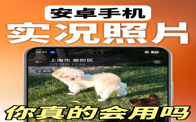 我悟了‼️live图真正使用方式😎