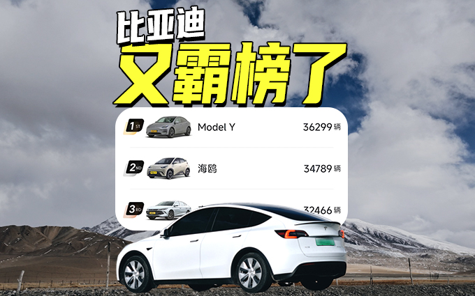 十个里面占六个,不愧是比亚迪,七月销量继续霸榜