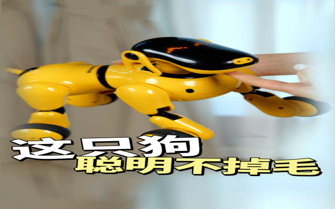 上过央视的智能小dog可旺