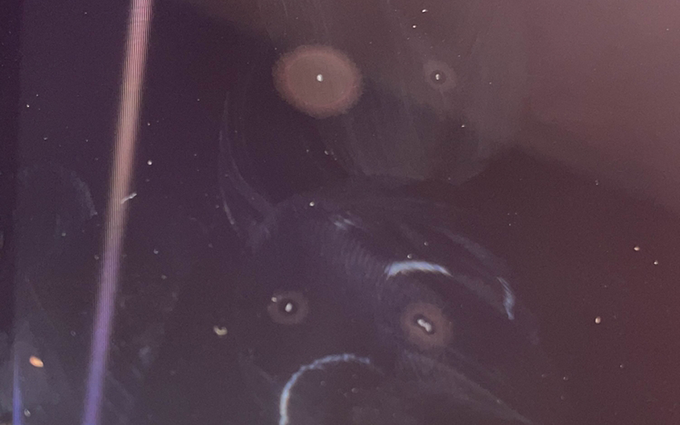 Switch 2到手却翻车?美门店用订书钉固定票据,导致主机屏幕受损