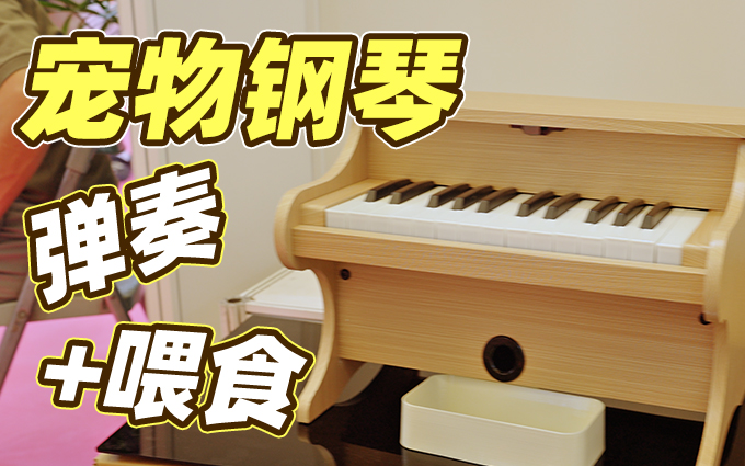 2025亚宠展,看到一台新菱给猫咪准备的智能钢琴!