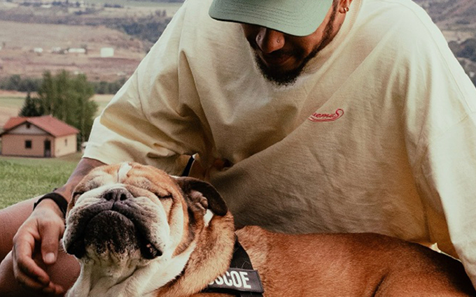 一只宠物搅动赛车圈风云，汉密尔顿爱犬离世，中国车手或成代打