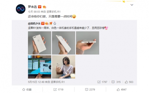 罗永浩微博回应：还会给你们做手机，只是需要一点时间