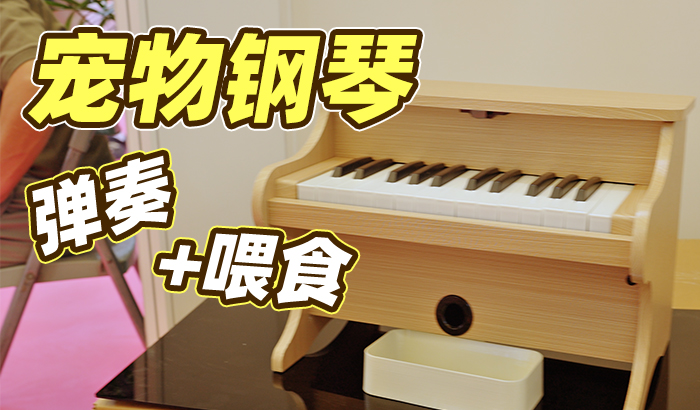 2025亚宠展，看到一台给猫咪准备的智能钢琴！