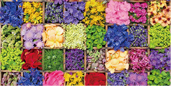 image013.png
