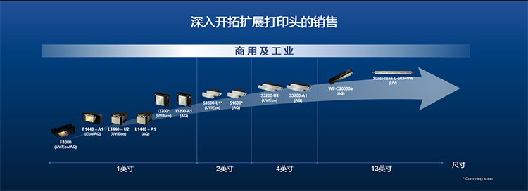 图片11.jpg