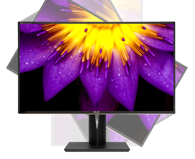 image003.png