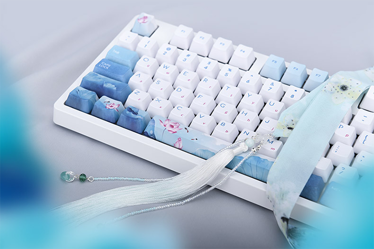 image003.png