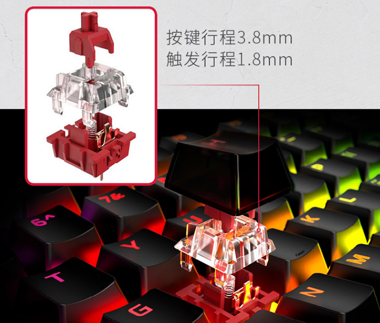 image005.png