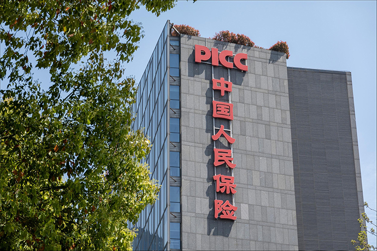  事故率太高了！中国人保建议新能源车也纳入驾考范围