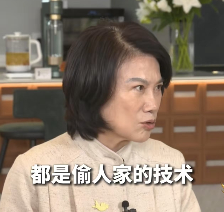 怒斥某企业！董明珠：偷人家技术、偷人家的人，&ldquo;流氓&rdquo;行为！