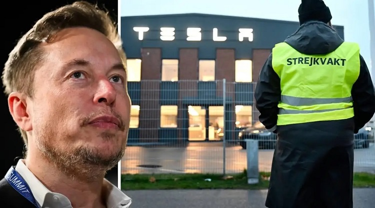特斯拉多名员工要求马斯克离职，其中一位已经被开除
