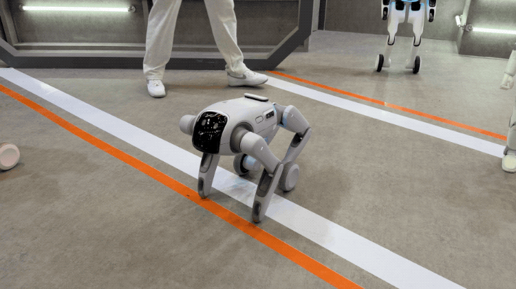 2026-09-04 160336.2026-09-05 18_46_22.gif